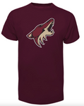 Men's 47 brand Arizona Coyotes Fan T-shirt